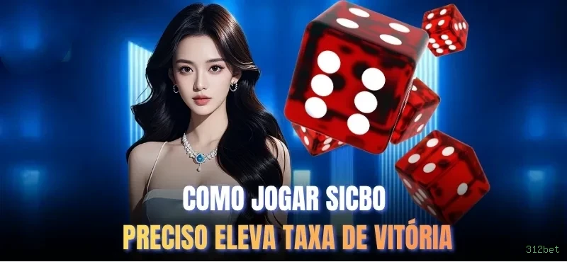 Suporte 312bet